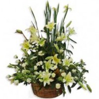 Arreglo Floral para Condolencias