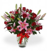 24 Rosas y Stargeizer