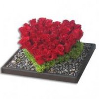 Tierno Corazón de Rosas 