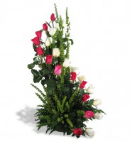 Rosas en Espiral 