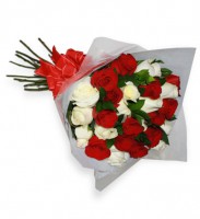 Ramo de 24 Rosas Bicolor 