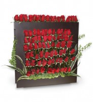 100 Rosas Enmarcadas 