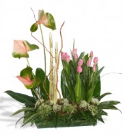 Flores Exóticas 
