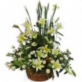 Arreglo Floral para Condolencias