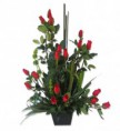 Arreglo de Rosas